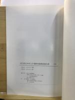 上手遺跡発掘調査報告書