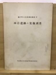 西台遺跡の発掘調査