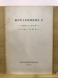 桶川町文化財調査報告