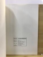 長江崎遺跡発掘調査報告書