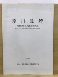 原川遺跡 : 袋井バイパス(掛川地区)埋蔵文化財発掘調査