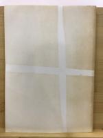 坂上遺跡・藤上原3遺跡発掘調査報告書