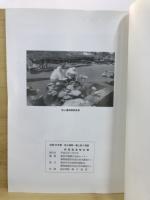 坂上遺跡・藤上原3遺跡発掘調査報告書