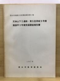 天神山下II遺跡・東久佐奈岐5号墳・薬師平3号墳発掘調査報告書