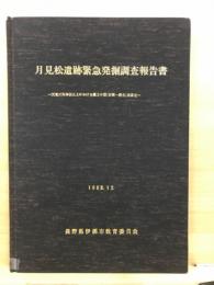 月見松遺跡緊急発掘調査報告書 : 天竜川河岸段丘上における縄文中期(初頭-終末)集落址