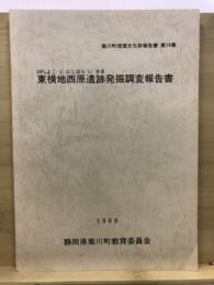 東横地西原遺跡発掘調査報告書