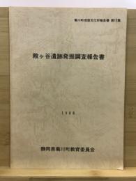 殿ケ谷遺跡発掘調査報告書