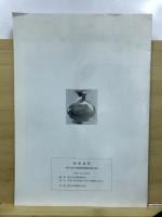 南通遺跡 : 第14地点発掘調査概要報告書