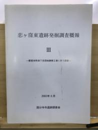 恋ケ窪東遺跡発掘調査概報