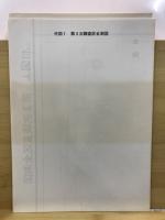 大久保条里遺跡発掘調査報告書