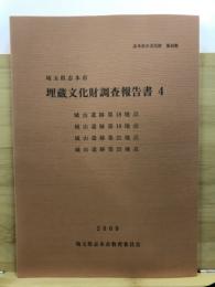 城山遺跡第18地点 ; 城山遺跡第19地点 ; 城山遺跡第21地点 ; 城山遺跡第22地点