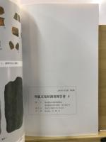 城山遺跡第18地点 ; 城山遺跡第19地点 ; 城山遺跡第21地点 ; 城山遺跡第22地点