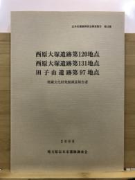 西原大塚遺跡第120地点・西原大塚遺跡第131地点・田子山遺跡第97地点埋蔵文化財発掘調査報告書