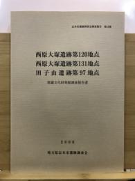 西原大塚遺跡第120地点・西原大塚遺跡第131地点・田子山遺跡第97地点埋蔵文化財発掘調査報告書