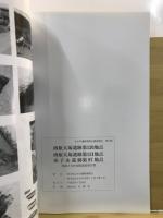 西原大塚遺跡第120地点・西原大塚遺跡第131地点・田子山遺跡第97地点埋蔵文化財発掘調査報告書