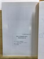 西原大塚遺跡第45地点発掘調査報告書