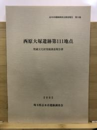 西原大塚遺跡第111地点埋蔵文化財発掘調査報告書