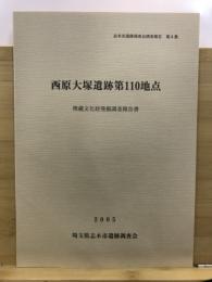 西原大塚遺跡第110地点埋蔵文化財発掘調査報告書