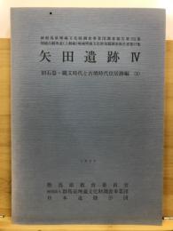 関越自動車道(上越線)地域埋蔵文化財発掘調査報告書