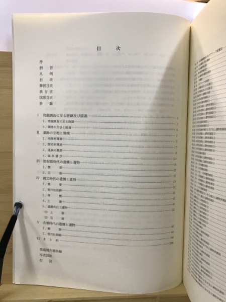 関越自動車道(上越線)地域埋蔵文化財発掘調査報告書(群馬県埋蔵
