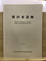 薮田東遺跡 : 国道291号街路改良工事地域 : 埋蔵文化財発掘調査報告書