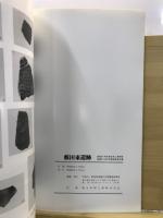 薮田東遺跡 : 国道291号街路改良工事地域 : 埋蔵文化財発掘調査報告書