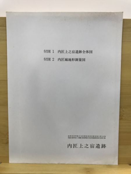 関越自動車道(上越線)地域埋蔵文化財発掘調査報告書(群馬県埋蔵