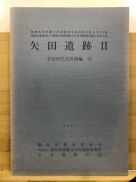 関越自動車道(上越線)地域埋蔵文化財発掘調査報告書