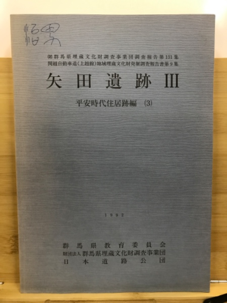 関越自動車道(上越線)地域埋蔵文化財発掘調査報告書(群馬県埋蔵