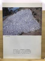 森将軍塚古墳 : 保存整備事業発掘調査概報