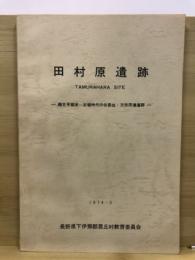 田村原遺跡 : 縄文早期末～古墳時代の住居址・方形周溝墓群