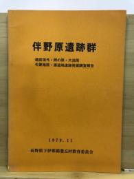 伴野原遺跡群 : 道前垣外・西の原・大池原・毛賀地原・源道地遺跡発掘調査報告