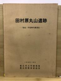 田村原丸山遺跡 : 弥生・平安時代集落址