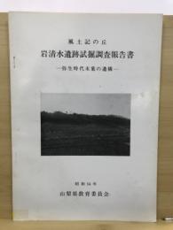 風土記の丘岩清水遺跡試掘調査報告書 : 弥生時代末葉の遺構