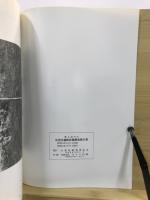 風土記の丘岩清水遺跡試掘調査報告書 : 弥生時代末葉の遺構