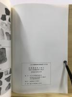新邸遺跡第2地点・西原大塚遺跡第4地点発掘調査報告書
