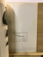 磐田市竹之内原古墳調査記録報告
