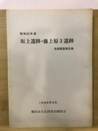 坂上遺跡・藤上原3遺跡発掘調査報告書