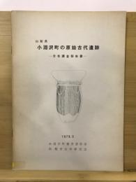 小淵沢町の原始古代遺跡 : 分布調査報告書 : 山梨県