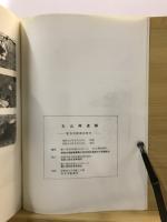 丸山南遺跡 : 緊急発掘調査報告書