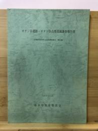 オテジ谷遺跡・オテジ谷古墳発掘調査報告書