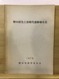 磐田原先土器時代遺跡地名表