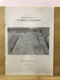 寺谷遺跡発掘調査概報 : 静岡県磐田市