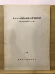 向野西古墳群発掘調査概要報告書