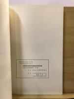 向野西古墳群発掘調査概要報告書
