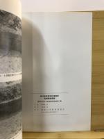 西中筋東部地区遺跡群発掘調査概報