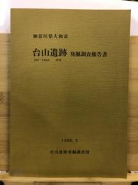 台山遺跡発掘調査報告書