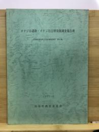 オテジ谷遺跡・オテジ谷古墳発掘調査報告書