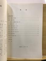 観音畑・上平遺跡発掘調査報告書