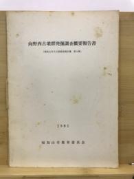 向野西古墳群発掘調査概要報告書